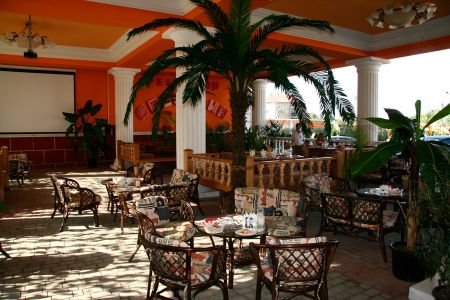 Внешний вид