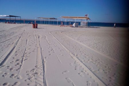 Внешний вид. Корпус