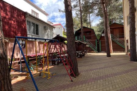 Внешний вид