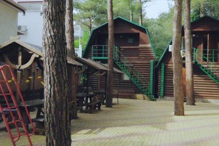 Внешний вид