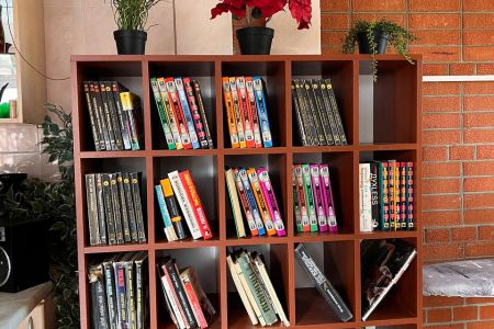 Мини-библиотека