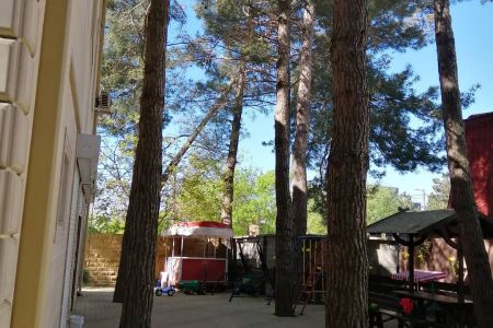 Внешний вид