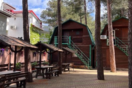 Внешний вид