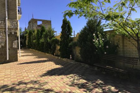 Внешний вид