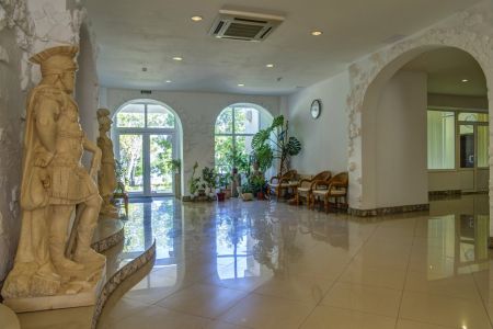 Внешний вид