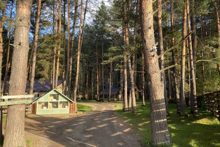 Деревня Берендеевка