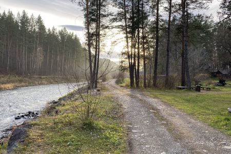 Территория