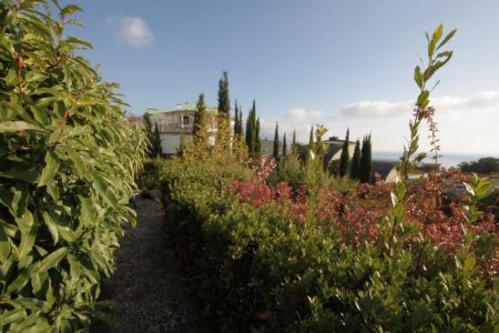 Люкс Princess I 2-местный 2-комнатный (корпус Вилла)