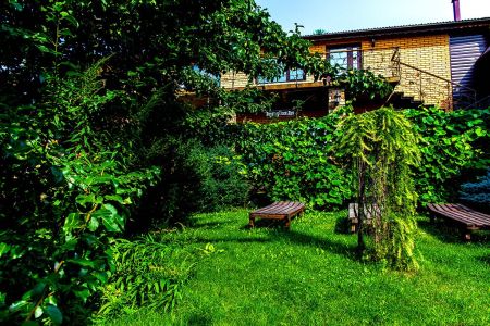 Внешний вид