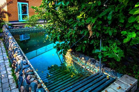 Внешний вид