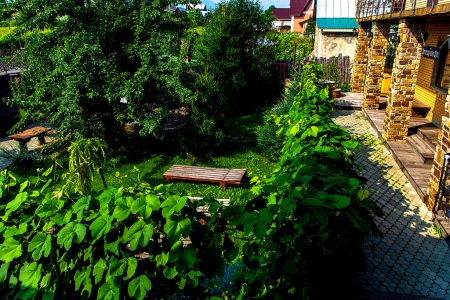 Внешний вид