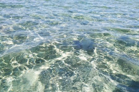 «Пальмира» отель