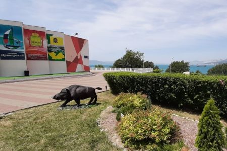 Внешний вид