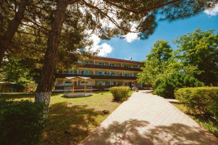 Внешний вид