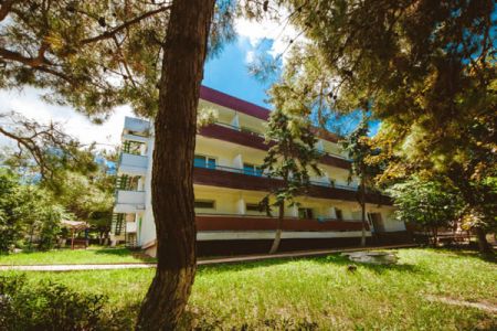 Внешний вид