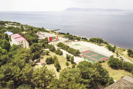 Внешний вид