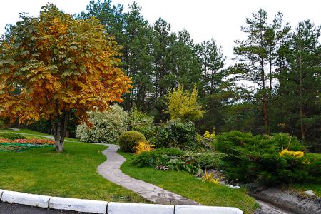 Внешний вид