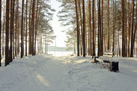 Внешний вид