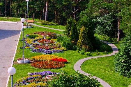 Внешний вид