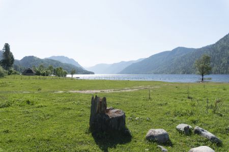 Внешний вид