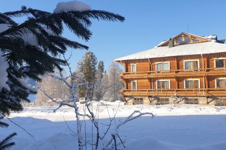 Внешний вид