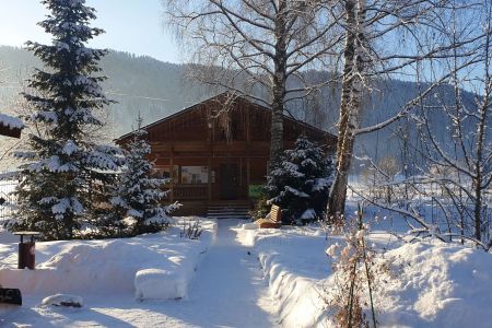 Внешний вид