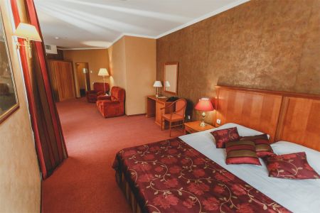 Студия 2-местный 1-комнатный  Twin