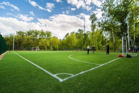 Внешний вид