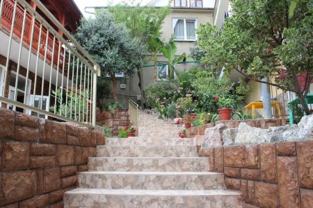 Внешний вид