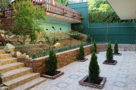 Внешний вид