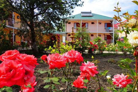 Территория