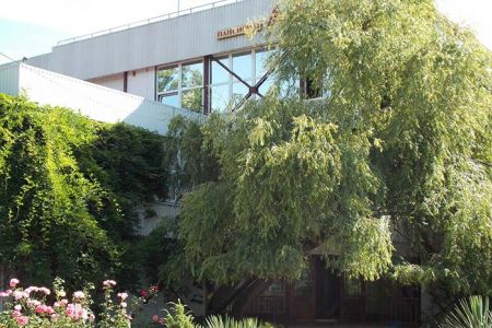 Внешний вид