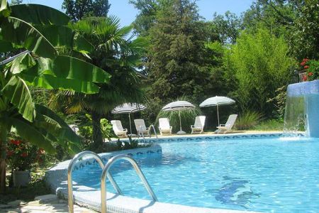 Внешний вид