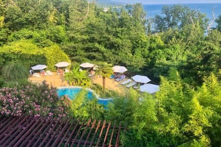 Внешний вид