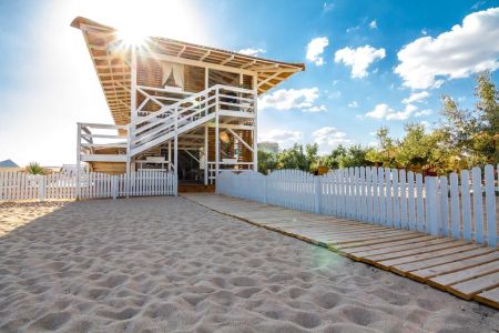 Внешний вид