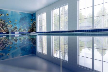 Внешний вид