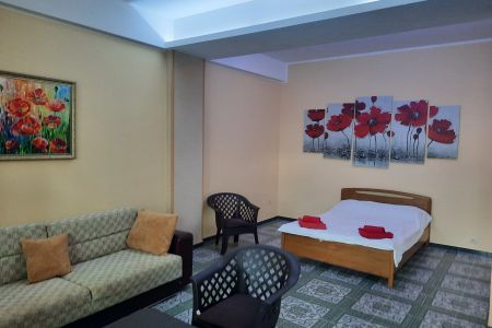 Полулюкс 3-местный 1-комнатный