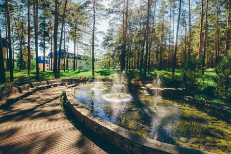 Внешний вид