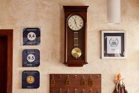 Внешний вид