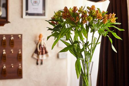 Внешний вид