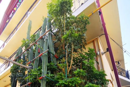 Внешний вид