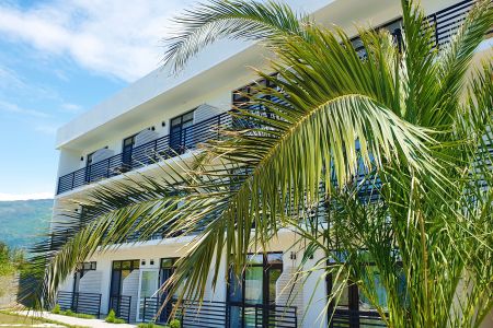 Внешний вид