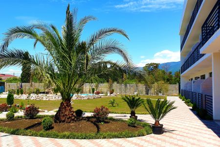 Внешний вид