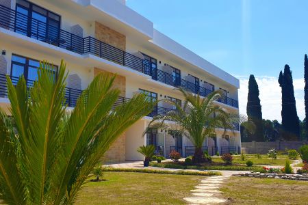 Внешний вид