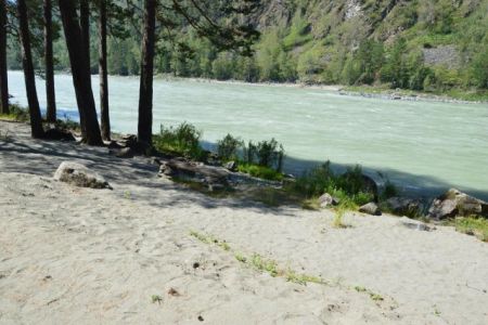 Внешний вид