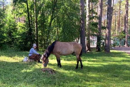 Территория. Коттедж 6-местный Лесной