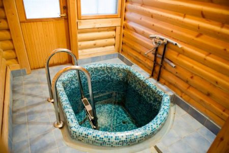 Территория. Коттедж 6-местный Лесной