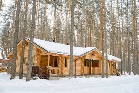 Территория. Коттедж 6-местный Лесной