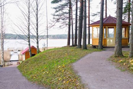 Территория. Коттедж 6-местный Лесной