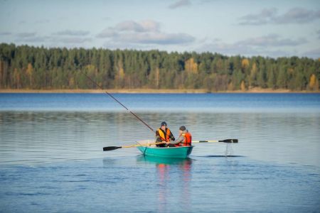 Территория. Коттедж 6-местный Лесной